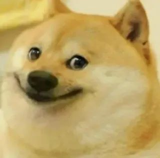 🙂 Doge собака, мем, доге, смешной, животное telegram sticker