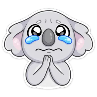 😭 Koala, weinen, traurig, flehend, betteln, Emoji, Sticker whatsapp sticker