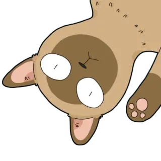 🙌 gato, desenho animado, animal, fofo, engraçado, adesivo whatsapp sticker