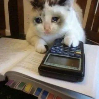 ‼️ Katze, traurig, Taschenrechner, Buch, weinen, Mathe telegram sticker