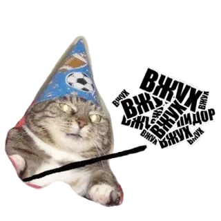 ✨ Вжух kat, magie, tovenaar, Russisch, meme telegram sticker