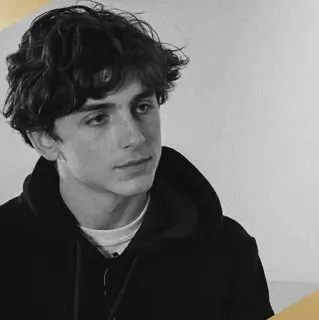 📎 Timothée Chalamet schauspieler, promi, mann, porträt telegram sticker