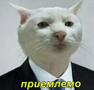 👌 Cat приемлемо telegram sticker