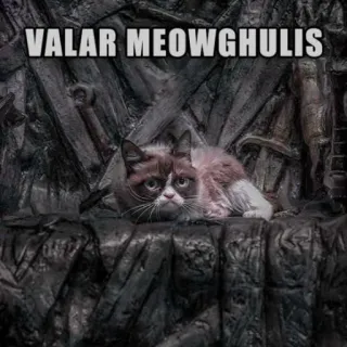 🔥 Grumpy Cat Game of Thrones VALAR MEOWGHULIS 臭脸猫, 权力的游戏, 表情包, 猫, 凡人皆有一死, 幽默, 恶搞 whatsapp sticker