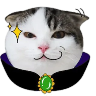 🙂 cat, sticker, animal, pet, cute, funny, cartoon telegram sticker