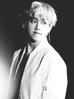 🥀 V K팝, 아이돌, 가수, 연예인, 뷔, BTS, 한국 telegram sticker