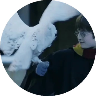 🦉 Harry Potter harry potter, uil, hedwig, magie, tovenaar, personage, boek, film telegram sticker