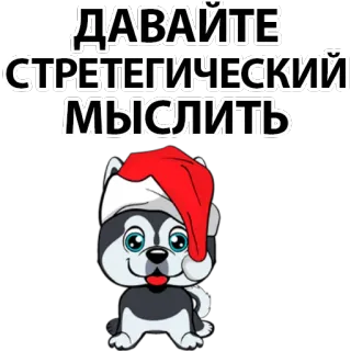 🤩 ДАВАЙТЕ СТРАТЕГИЧЕСКИЙ МЫСЛИТЬ dog, husky, text, russian, cartoon, christmas, santa hat telegram sticker