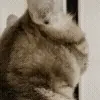 😳