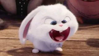 🤯 Snowball The Secret Life of Pets Snowball, Mascotas, conejito, conejo, animal, dibujos animados whatsapp sticker