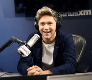 🥀 Niall Horan, Músico, Cantante, SiriusXM, One Direction, Retrato telegram sticker