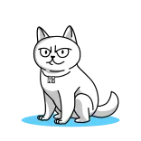 🙀 cat, animal, cartoon, white cat telegram sticker