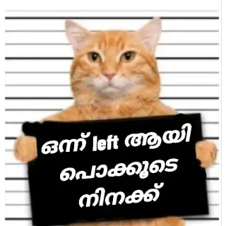 😂 ഒന്ന് left ആയി പൊക്കൂടെ നിനക്ക് cat, jail, funny, meme telegram sticker