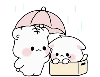 ❤️ dễ thương, kawaii, động vật, mèo, gấu, ô, bạn bè whatsapp sticker