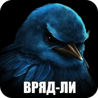 🐦‍⬛️ ВРЯД-ЛИ bird, angry, doubt, skeptical, blue bird, sarcasm, russian telegram sticker