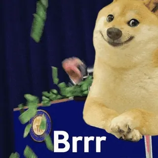 💸 Brrr Doge, Pieniądze, Mem, Śmieszne, Mem internetowy, Pies telegram sticker