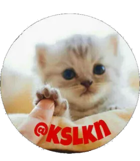 😂 @KSLKN кот, котенок, животное, милый whatsapp sticker