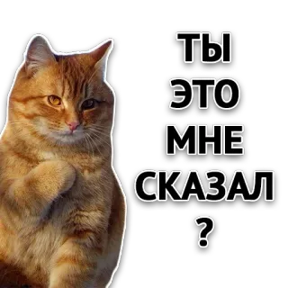 Злойпак telegram stickers