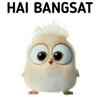 🙃 HAI BANGSAT pájaro, dibujo animado, insulto, pegatina, animado telegram sticker