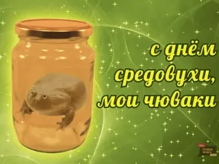 🌟 С днем средевухи, мои чвокаи frog, jar, greeting, funny, animal, text, humor, meme whatsapp sticker