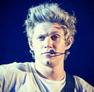 😑 Niall Horan cantante, celebridad, retrato, One Direction, músico, hombre telegram sticker