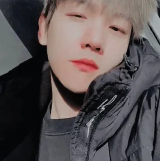 🌻 kpop, 가수, 아이돌, 연예인, 남자 telegram sticker