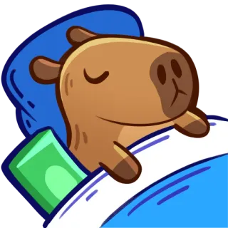 🥱 카피바라, 자는, 귀여운, 동물, 만화, 침대, 졸린 telegram sticker