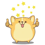 👍 dog, corgi, thumbs up, stars, cute, animal telegram sticker
