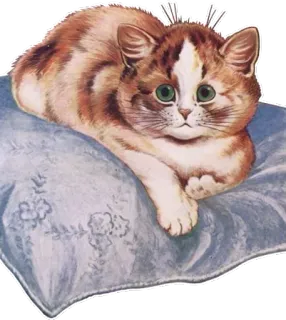 👀 chat, chaton, animal, animal de compagnie, domestique, oreiller, félin telegram sticker
