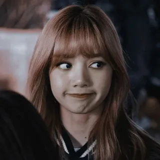😏 Lisa kpop, idol, chanteur, personne, femme telegram sticker