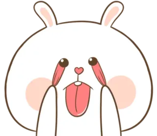 🐽 królik, zajączek, słodki, kreskówka, naklejka, śmieszny, zwierzę telegram sticker