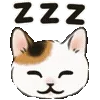 😴