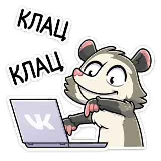 💻 КЛАЦ Zarigüeya, Ordenador, Escribiendo, Animal, Dibujos animados, Divertido telegram sticker