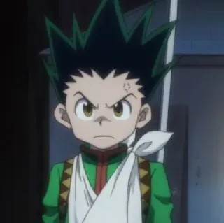 😠 Gon Freecss Hunter x Hunter anime, gon freecss, hunter x hunter, angry, bandage telegram sticker