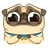 Penny Pug | @Premium_Emojis_Telegram telegram emojis 😰