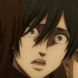 😱 Mikasa Ackerman Attack on Titan anime, attack on titan, mikasa, scared, facial expression, manga, aot, shocked telegram sticker