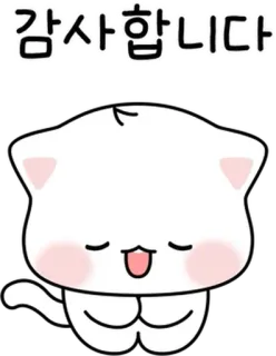 💬 감사합니다 grazie, gatto, coreano, carino, saluto, rispetto telegram sticker