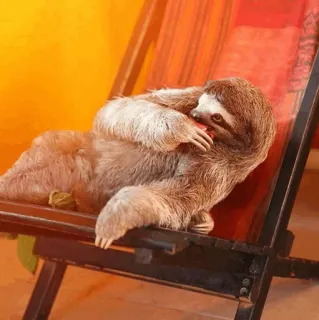 🦥 luiaard, dier, ontspannen, schattig, chill, tropisch telegram sticker