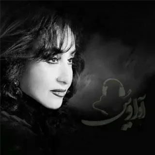 👤 آوادیس mulher, retrato, música, música iraniana telegram sticker