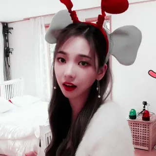 🕊 whatsapp sticker