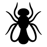 🪰