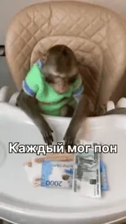 🌟 Каждый мог пон Affe, Geld, Russisch, Rubel, Lustig telegram sticker