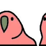 🦜 telegram sticker