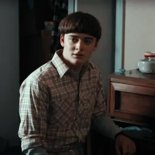 😐 Will Byers Stranger Things Will Byers, Stranger Things, Netflix, personagem, série, anos 80 telegram sticker