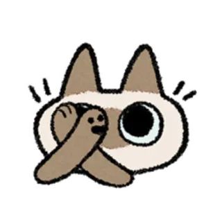 😺 gato, esconder, animal, espreitar, orelhas telegram sticker