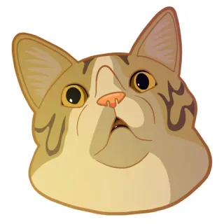 😳 кот, мем, животное, питомец telegram sticker