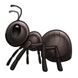 🐜