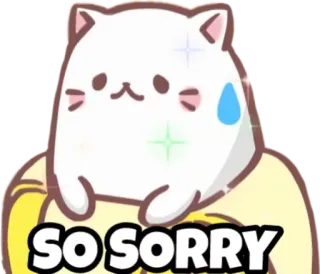 😥 SO SORRY 고양이, 미안, 사과, 귀여운, 동물 telegram sticker