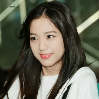 🦄 Jisoo all the page портрет, человек, женщина, знаменитость, K-pop whatsapp sticker