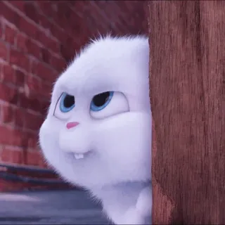☁️ Snowball The Secret Life of Pets coniglio, bianco, carino, animale, animale domestico, cartone animato whatsapp sticker